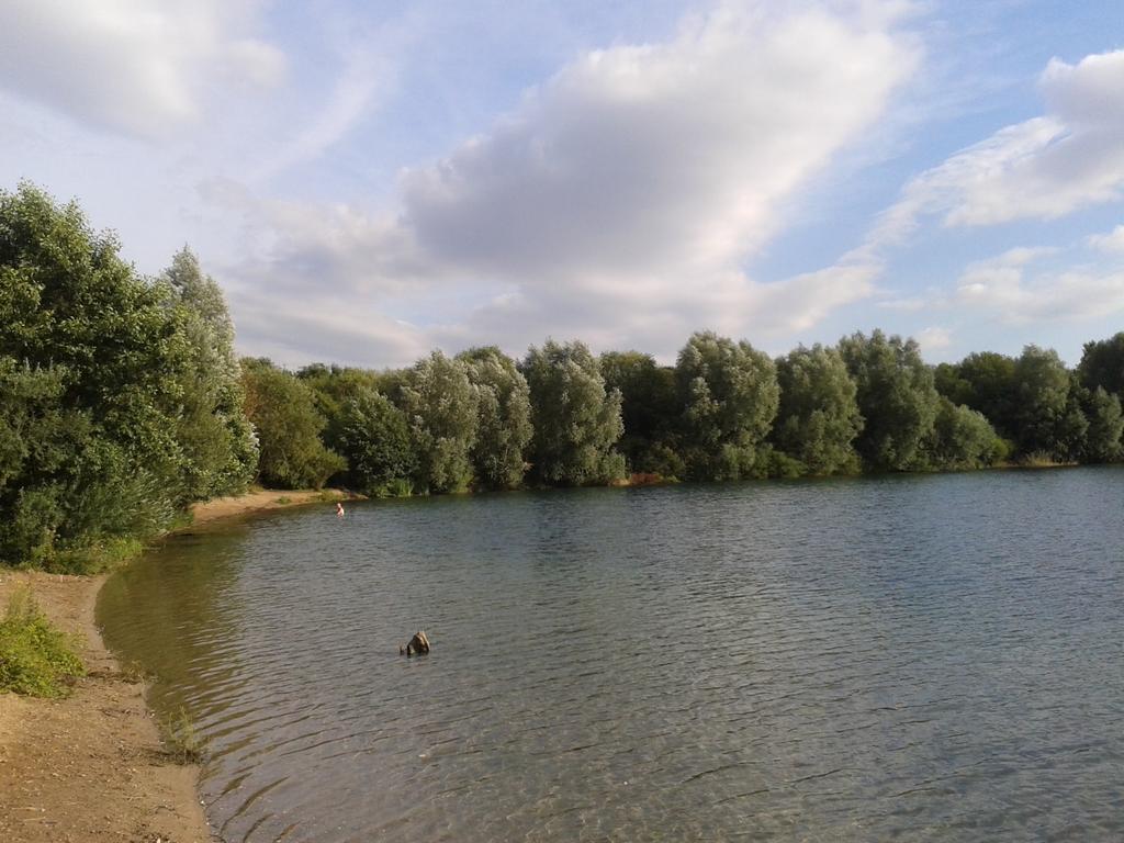 B&B Am See Koeln - Privatzimmer Стая снимка